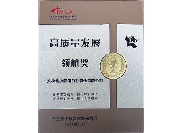 合肥市小贷协会高质量发展领航奖