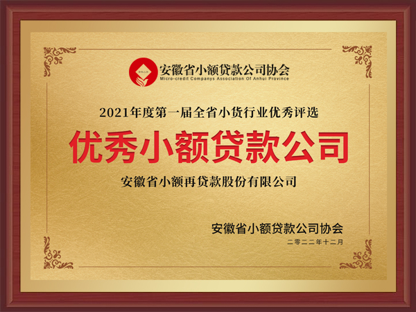 2021年度优秀小额贷款公司